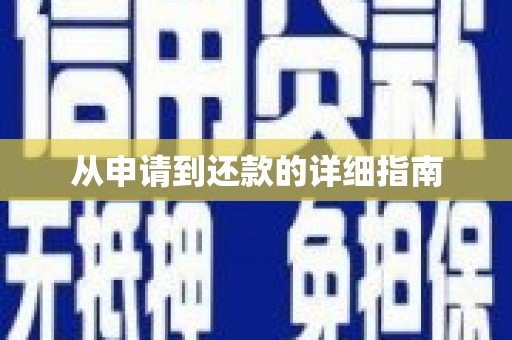 沙湾从申请到还款的详细指南