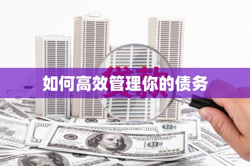 沙湾如何高效管理你的债务