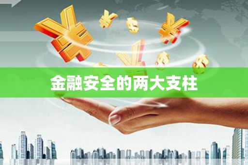 沙湾金融安全的两大支柱