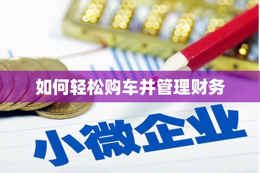沙湾如何轻松购车并管理财务