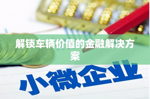 沙湾解锁车辆价值的金融解决方案