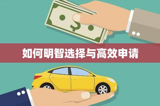 沙湾如何明智选择与高效申请