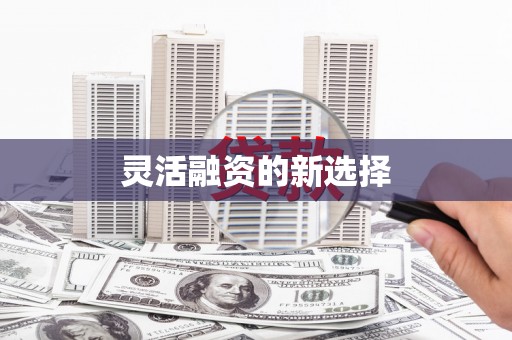 沙湾灵活融资的新选择