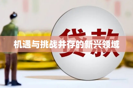 沙湾机遇与挑战并存的新兴领域