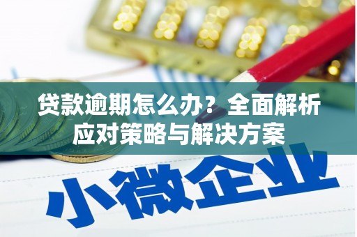 沙湾贷款逾期怎么办？全面解析应对策略与解决方案