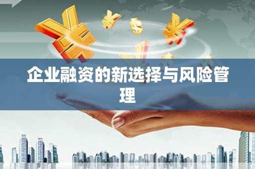 沙湾企业融资的新选择与风险管理