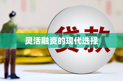 沙湾灵活融资的现代选择