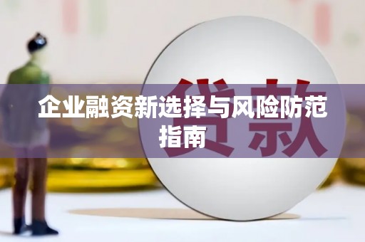 沙湾企业融资新选择与风险防范指南