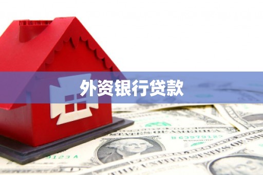 沙湾外资银行贷款