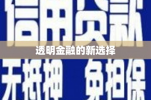 沙湾透明金融的新选择
