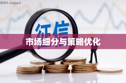 沙湾市场细分与策略优化