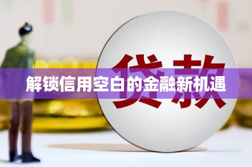 沙湾解锁信用空白的金融新机遇