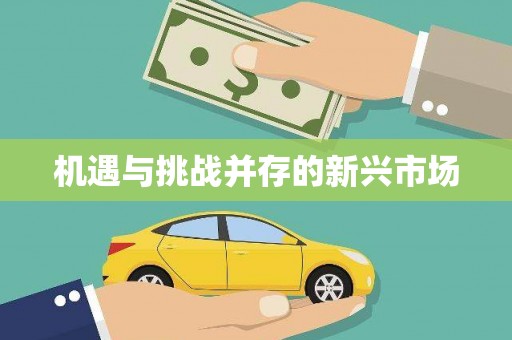 沙湾机遇与挑战并存的新兴市场