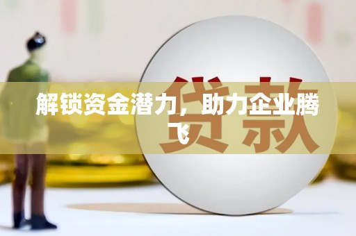 沙湾解锁资金潜力，助力企业腾飞