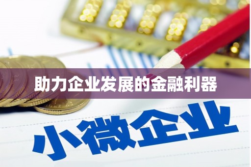 沙湾助力企业发展的金融利器