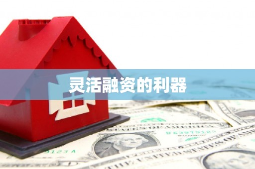 沙湾灵活融资的利器