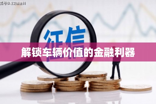 沙湾解锁车辆价值的金融利器