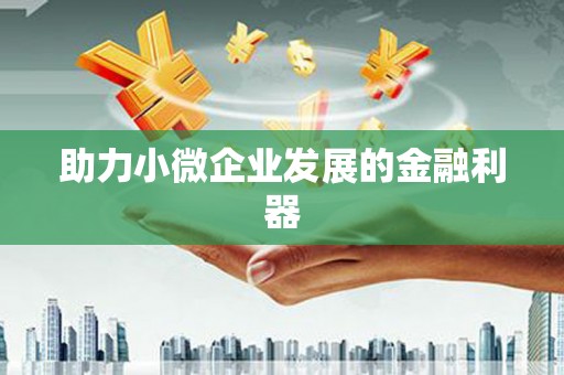 沙湾助力小微企业发展的金融利器