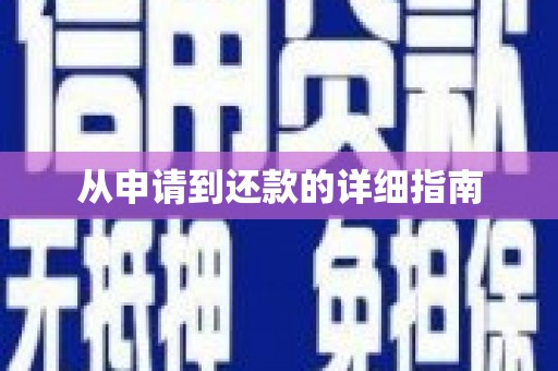 沙湾从申请到还款的详细指南