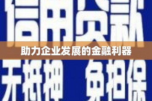 沙湾助力企业发展的金融利器