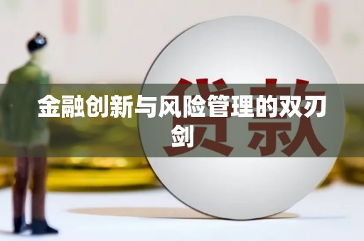 沙湾金融创新与风险管理的双刃剑