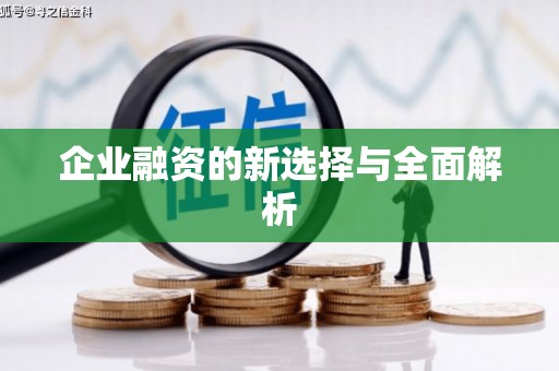 沙湾企业融资的新选择与全面解析