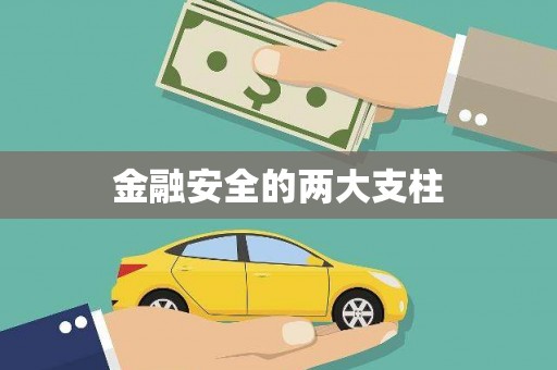 沙湾金融安全的两大支柱