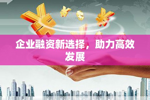 沙湾企业融资新选择，助力高效发展