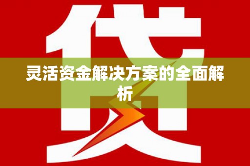 沙湾灵活资金解决方案的全面解析