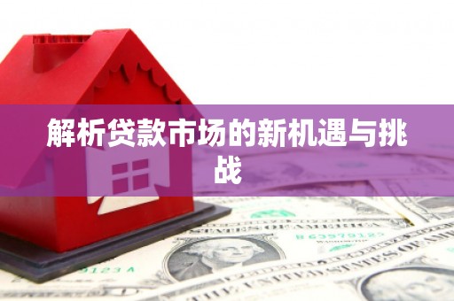 沙湾解析贷款市场的新机遇与挑战