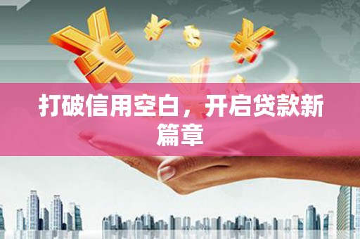 沙湾打破信用空白，开启贷款新篇章