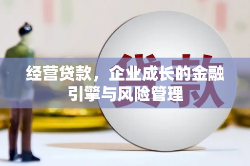 沙湾经营贷款，企业成长的金融引擎与风险管理
