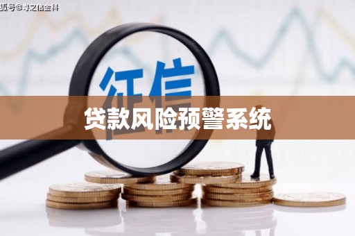 沙湾贷款风险预警系统