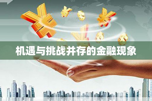 沙湾机遇与挑战并存的金融现象