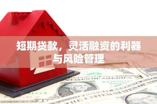沙湾短期贷款，灵活融资的利器与风险管理