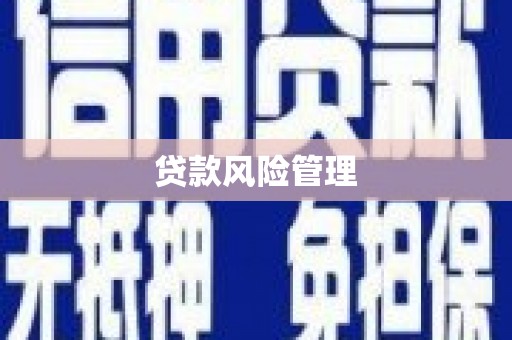沙湾贷款风险管理