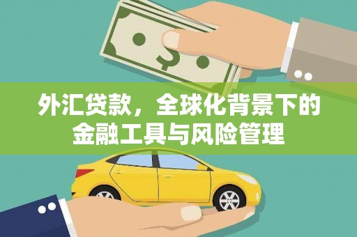 沙湾外汇贷款，全球化背景下的金融工具与风险管理