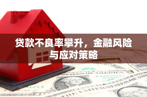 沙湾贷款不良率攀升，金融风险与应对策略