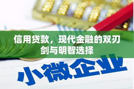 沙湾信用贷款，现代金融的双刃剑与明智选择