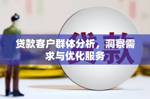 沙湾贷款客户群体分析，洞察需求与优化服务